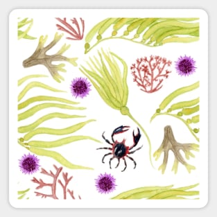 Watercolor Seaweed and Kelp Pattern Magnet
